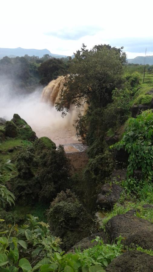 Caron Pension Bahir Dar Dış mekan fotoğraf